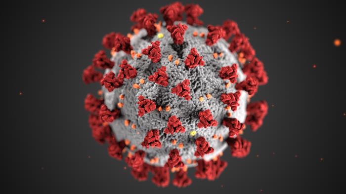 SARS-CoV-2 virus, the virus that causes COVID-19, under the microscope.